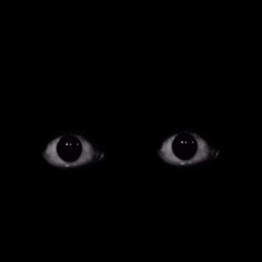 HIDE