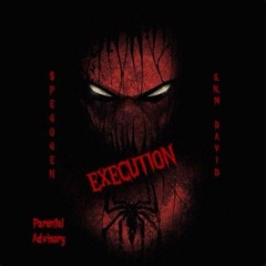 Execution