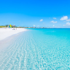 Human Made Racing x Welcome to Jamrock Ledger Mix