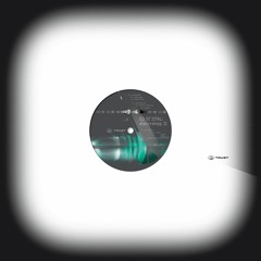 [TRUST39] DJ DI'JITAL - electrohop II [out february 2021]