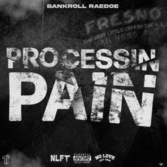 Bankroll RaeDoe - Processing Pain