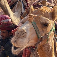 Travel Writer Linda Milks - Exploring Jordan