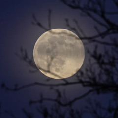 Kapitana Cook - Hold on