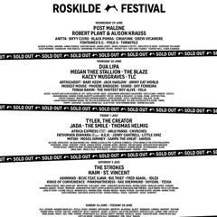 Denis Polyakov / @Roskilde Festival, Destroy Me Once Stage
