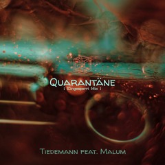 Quarantäne [feat. Tiedemann] [Eingesperrt Mix]