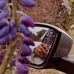 Sientelo - Escami11a (original mix)