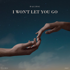 I Won't Let You Go