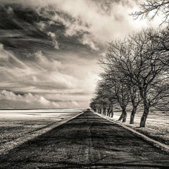 L'Infini Chemin - Vincent Caplan IA