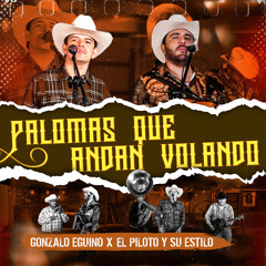 Palomas Que Andan Volando