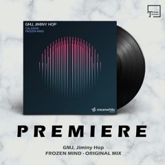 PREMIERE: GMJ, Jiminy Hop - Frozen Mind (Original Mix) [MEANWHILE RECORDINGS]