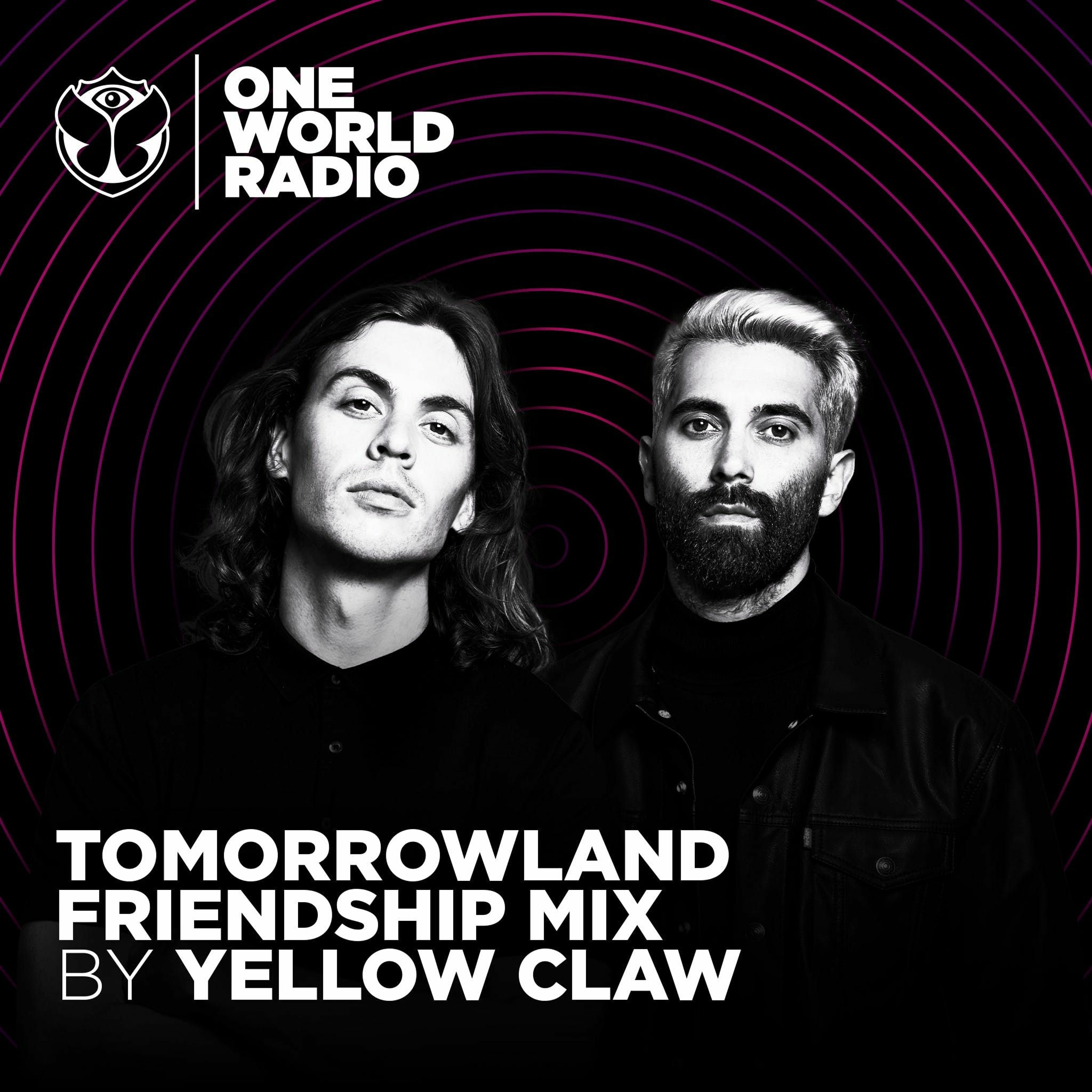 Tomorrowland Friendship Mix