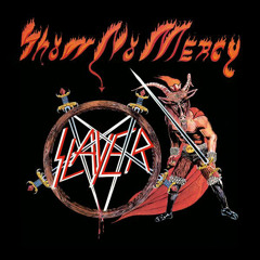 Metal Storm / Face The Slayer