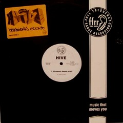 Hive & Dillinja – Ultrasonic Sound - Tankman Remix - Vortex Recordings - 2024