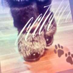 october samples🐾🍂@keymoow #Autumn