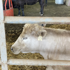 outaline_05-03-23.m4a