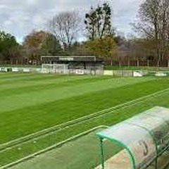 spaceshipp trubbeld mind edit