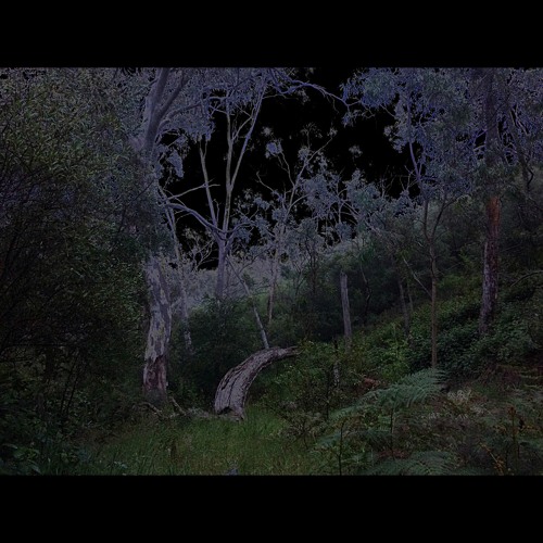 2020.11.04 Night Listenings. Late Spring.