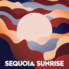Maikol's Closing Weekend Set at Sequoia Sunrise 2023