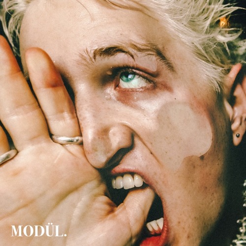 MODÜL. VA 001 [MODVA001] (Snippets)