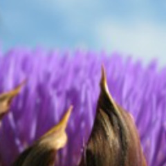 LDDD (Ich leb' dir davon dafür)