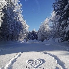 Kindness Like Snow 7