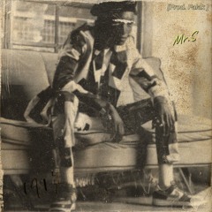 Mr.S (Prod. Falak)