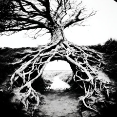 Spiritual Roots “It’s Time to Let Go” (Lexi & Bella's Masterpiece)