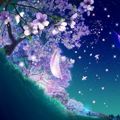 Around the World in 50MB