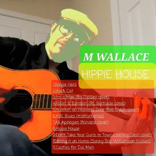 m WALLACE - Bring it on home (Sonny  boy Williamson cover)