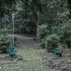 Wspomnienia Joanny Rzepki-Dziedzic z projektu warsztatowo-wystawienniczego "Przenikanie".
