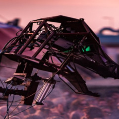 ♯ 561_2 ForbiddenKitty ❌ Wasteland AfterParty - Club Church - Jul 2024 Amsterdam (NL)