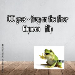 100 GECS - FROG ON THE FLOOR (WYVERN FLIP) [FREE DOWNLOAD]