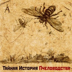 Аквариум - Как Движется Лед