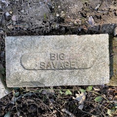 Big Savage - Ariana Grande Type 808 kicking beat