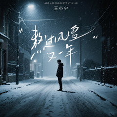 熬过风雪又一年 (DJ版伴奏)