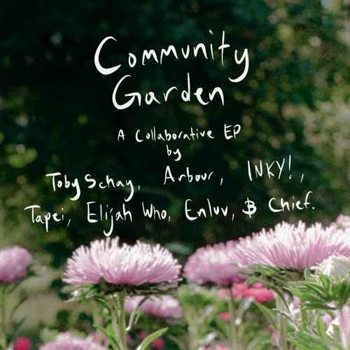 Toby Schay & Enluv - Starting Again (ft. Hippo Dreams)