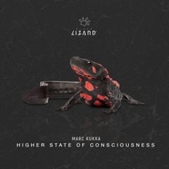 MARK KUKKA- HIGHER STATE OF CONSCIOUSNESS