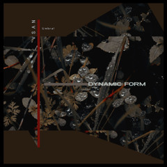 VSAN - Dimensión Subcortical