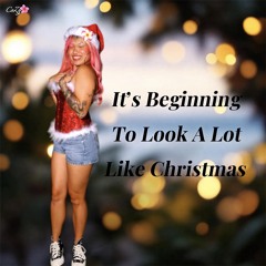 It's Beginning To Look A Lot Like Christmas Cover