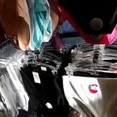 Video Sex Kuda Manusia