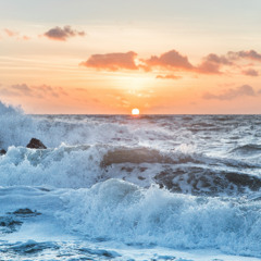 Tide's Embrace