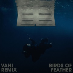 Billie Eilish - BIRDS OF FEATHER (VANI REMIX) FILTERED FOR SC***