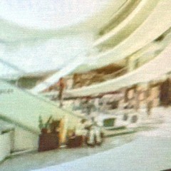 s h o p G r e a t ™ a m e r i c a