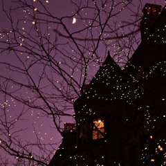 jaz - Late Night (Trees 12)