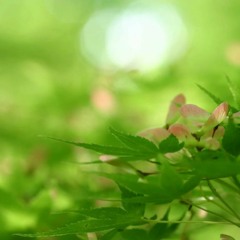 アクトゥ）アクトゥアルン background music games (FREE DOWNLOAD)