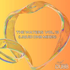 The Waters Vol. 13 (Liquid DNB)