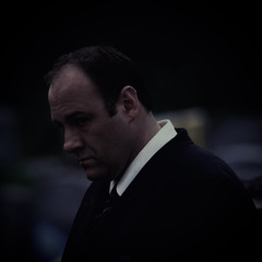 Someday Soon. (Dream x Tony Soprano)