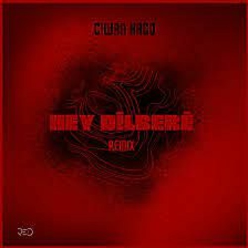 Ciwan Haco - Hey Dilberê - Remix
