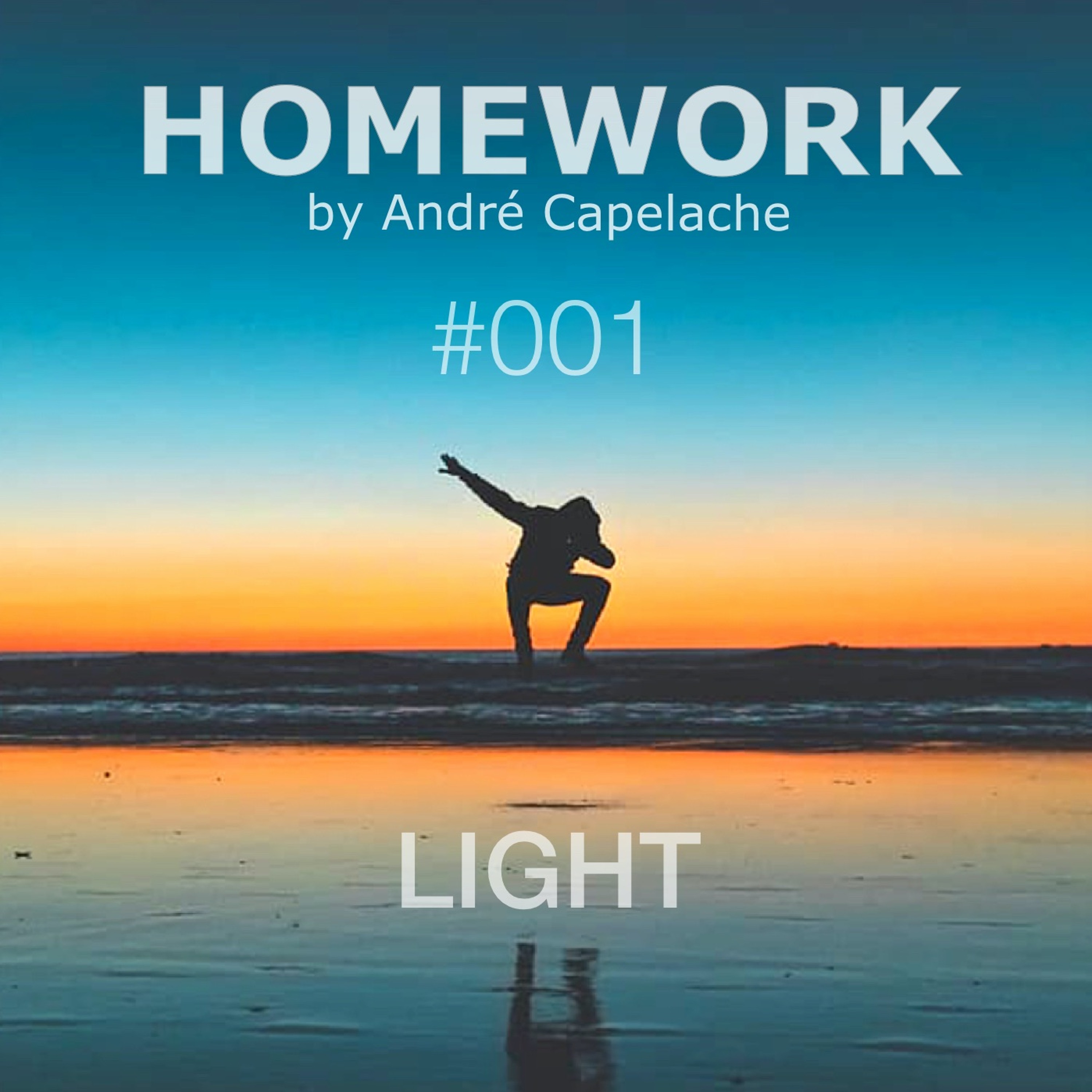 André Capelache HOMEWORK