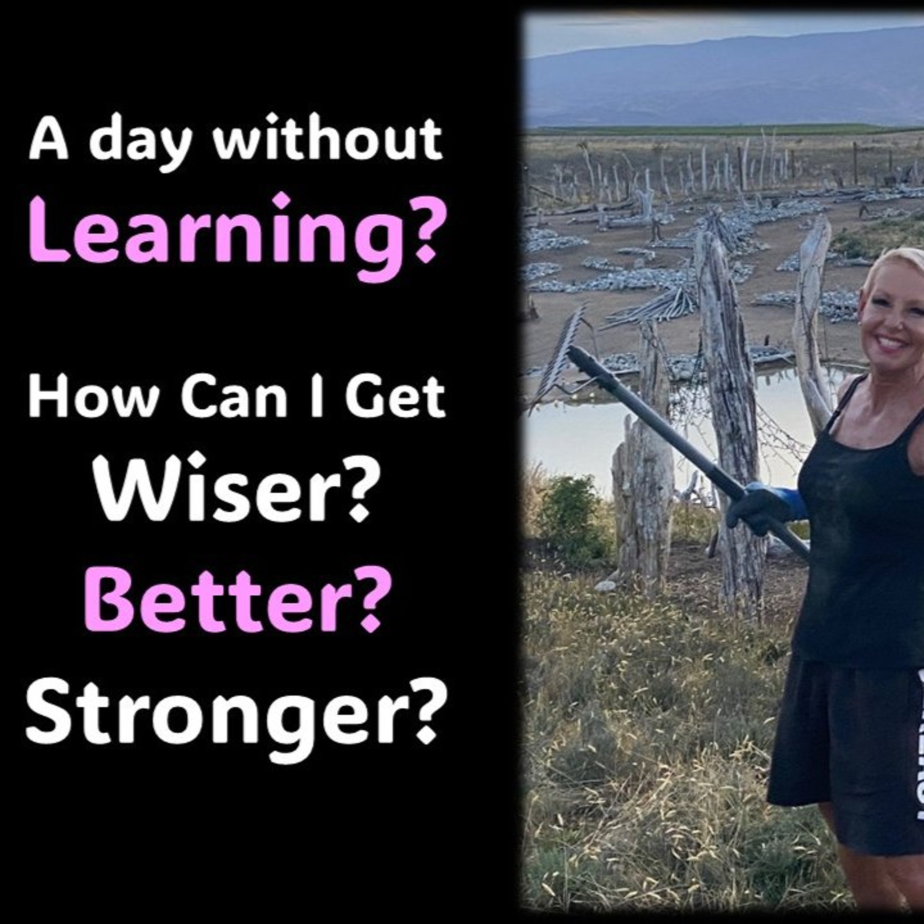 No Learning Today How can I get Wiser, Stronger, Better episode artwork